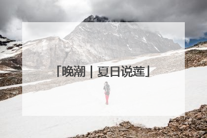 晚潮｜夏日说莲